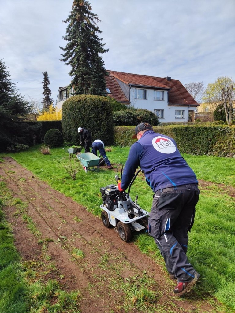 Vorher: Rollrasen frisch verlegt